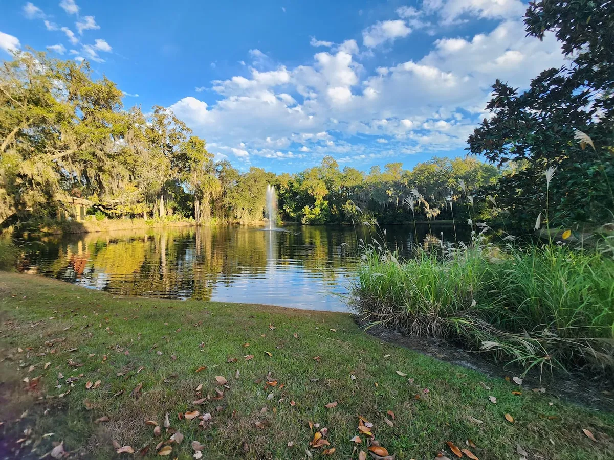 A peaceful pond with a fountain, framed by trees and clouds, inviting visitors to unwind by the water, birdwatch, or enjoy a picnic. The tranquil atmosphere evokes the serene side of exploring Charleston’s natural beauty.
