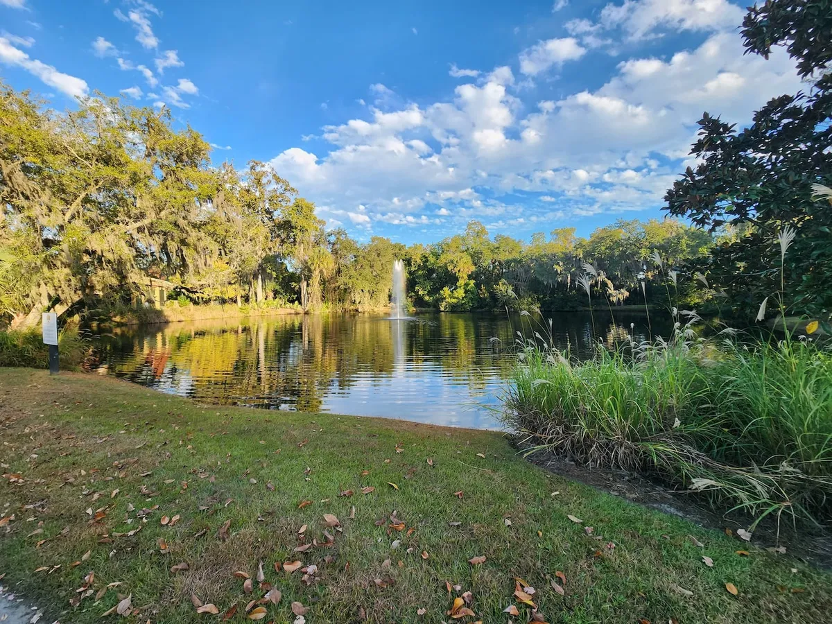 A serene pond features a central fountain, surrounded by manicured grass and mature trees beneath a partly cloudy sky. The expansive green space invites visitors to walk, picnic, and enjoy birdwatching while soaking in the peaceful ambience. Subtle ripples on the water reflect the natural beauty and tranquility of the surroundings, evoking a sense of relaxation perfect for family outings.
